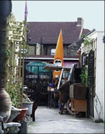 dolphin yard
