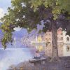 Tree in front of lake, Graham Petrie
