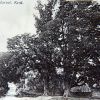 Village Green, Harvel circa 1920