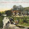 Watercress Beds at Springhead circa 1905
